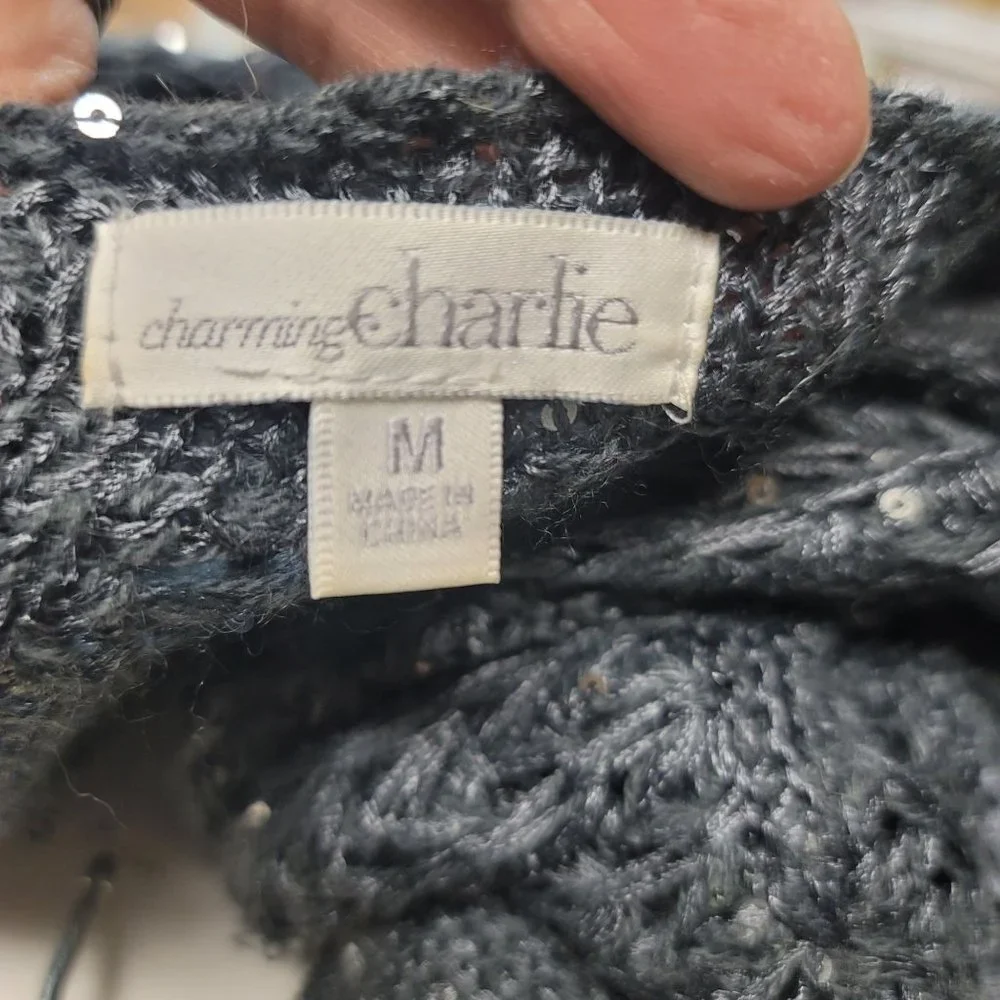 Charming Charlie dusty blue